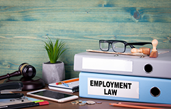 Employment law binders on desk