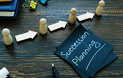 Succession planning visual